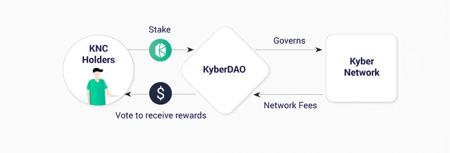 KyberDAO rewards