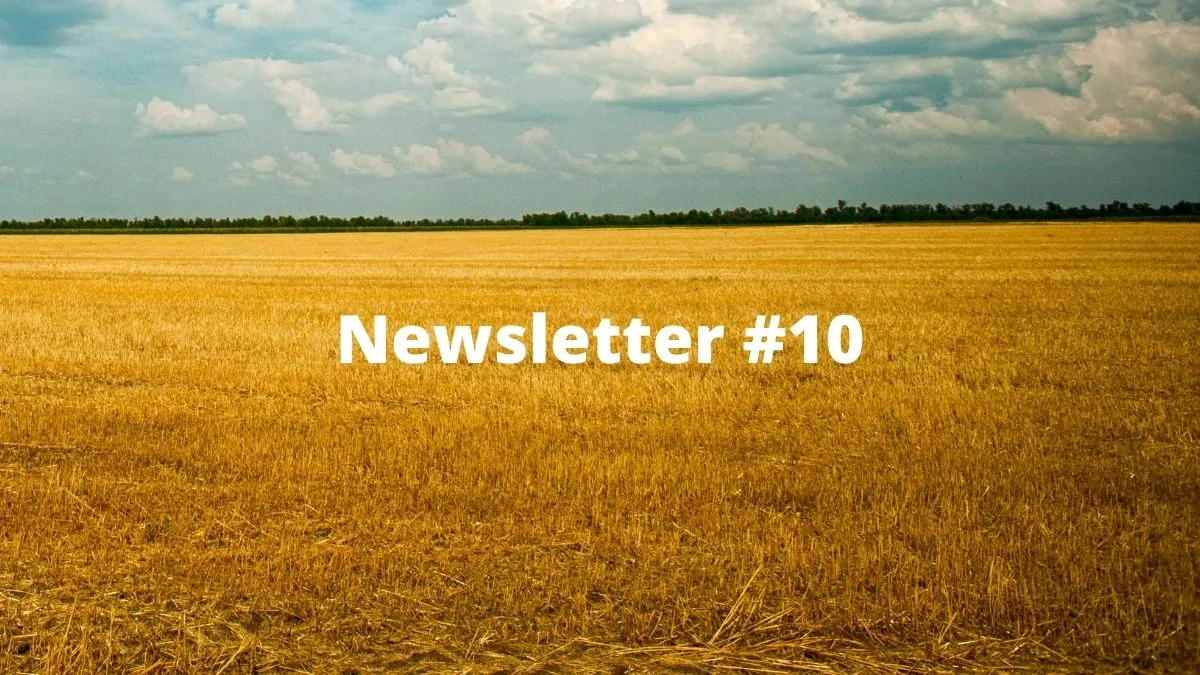 Boxmining newsletter #10