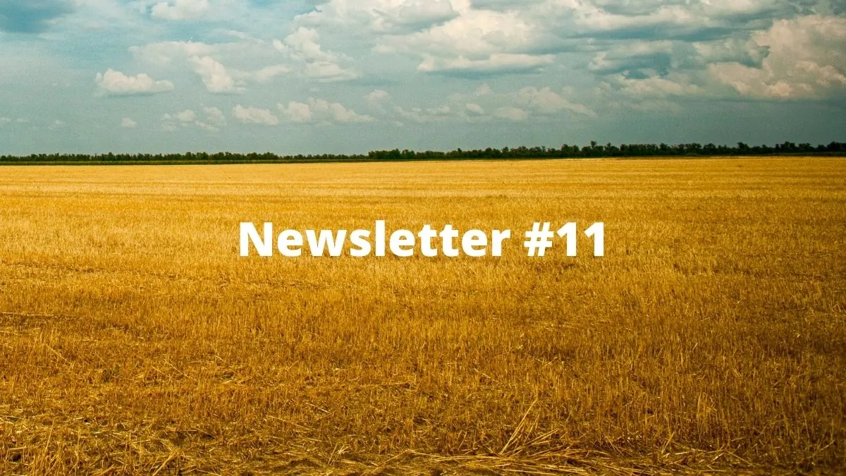 Boxmining newsletter #11