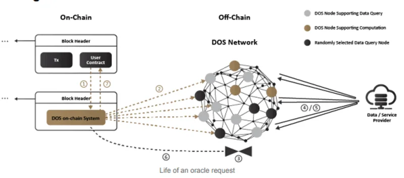 DOS Network Key Components