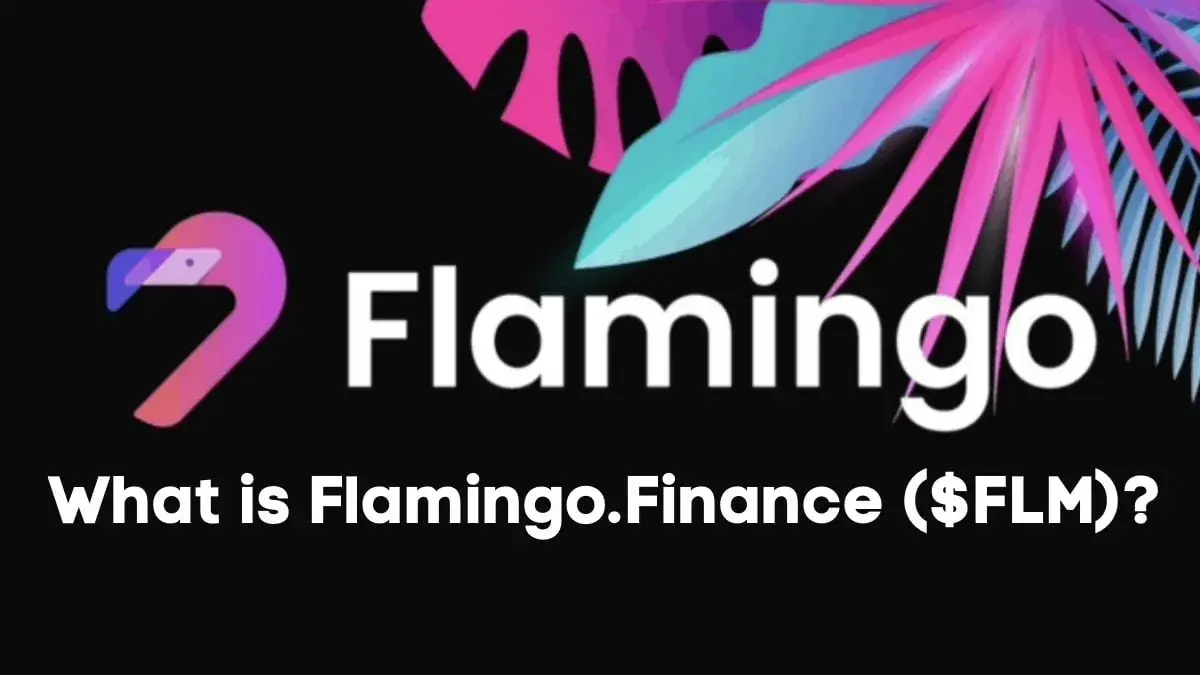 Flamingo Finance DeFi protocol on Neo N3
