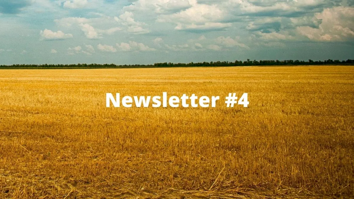 newsletter #4