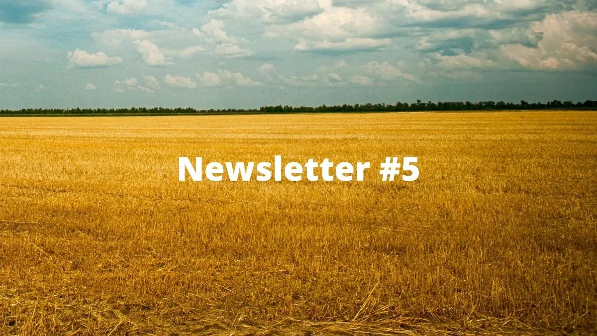 newsletter #5