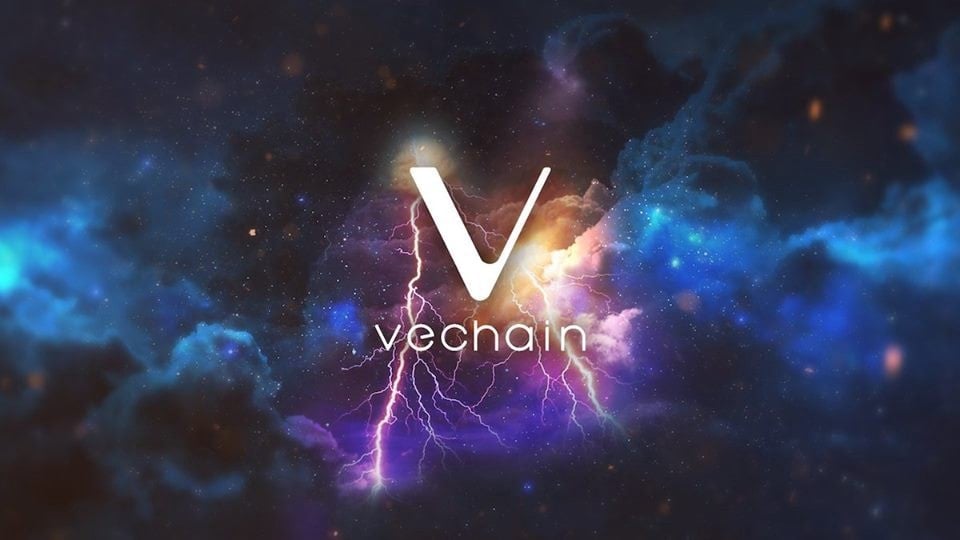 vechain crypto