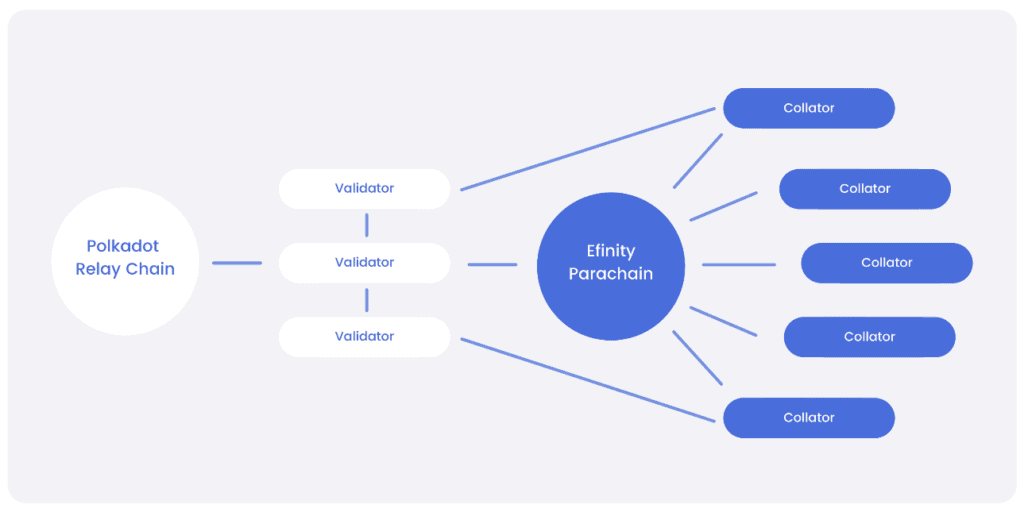 polkadot relay chain