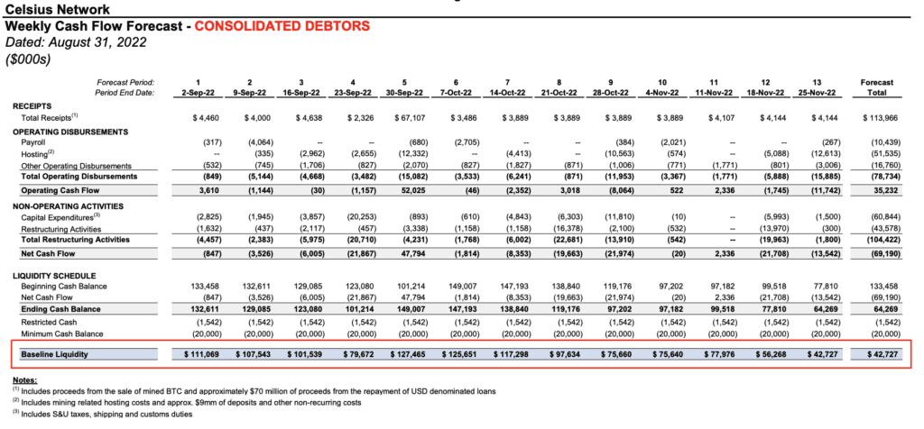 Celsius weekly cash flow forecast 